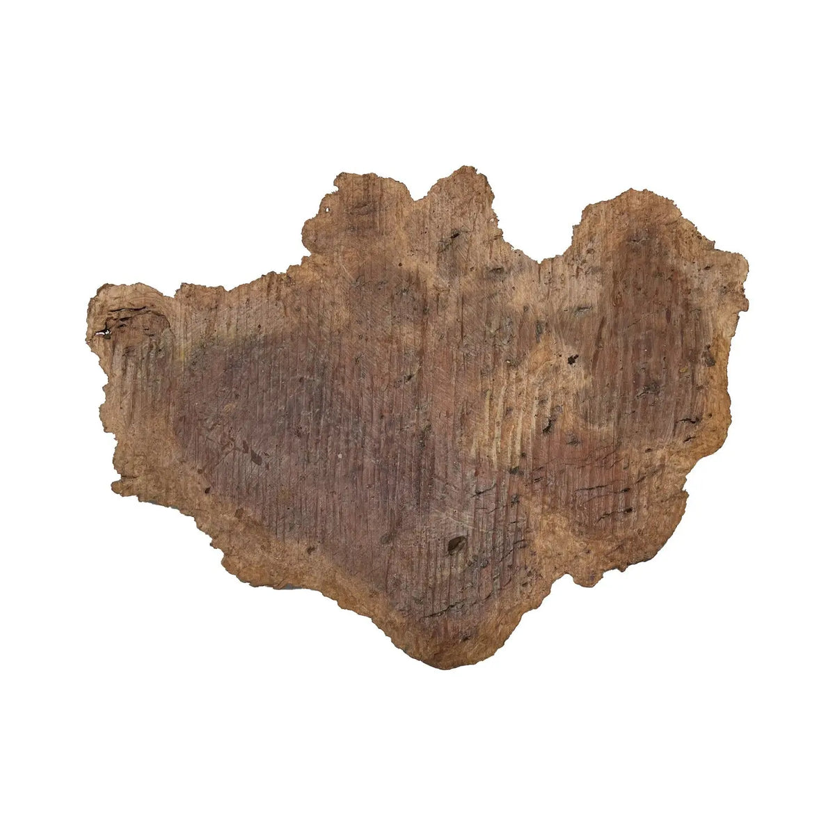 Red Gum Burl Cookies/Slabs 15" x 17" x 1-3/4" | 6.8 lbs | #26 - Exotic Wood Zone - Buy online Across USA 