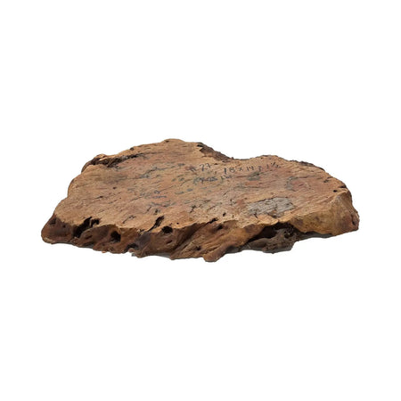 Red Gum Burl Cookies/Slabs 18" x 14"x 1-1/2" | 9.25 lbs | #27 - Exotic Wood Zone - Buy online Across USA 