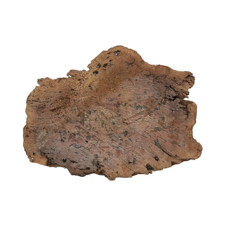 Red Gum Burl Cookies/Slabs 18" x 14"x 1-1/2" | 9.25 lbs | #27 - Exotic Wood Zone - Buy online Across USA 