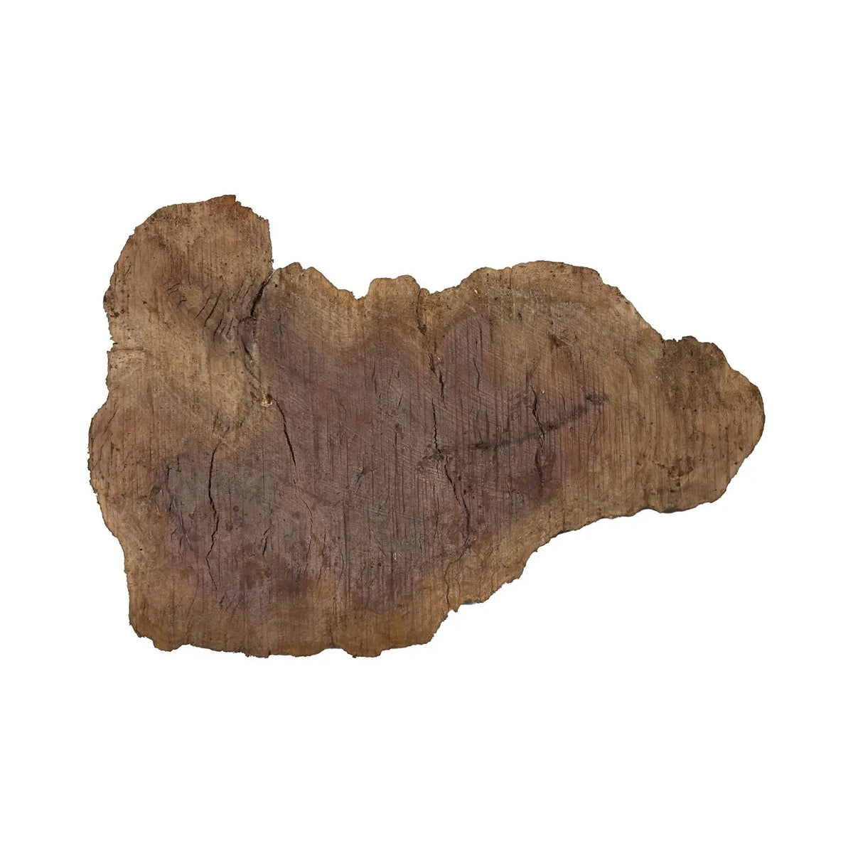 Red Gum Burl Cookies/Slabs 16" x 8" x 1-3/4" | 4.15  lbs | #28 - Exotic Wood Zone - Buy online Across USA 