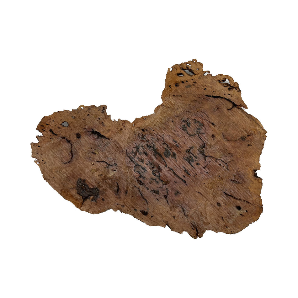 Red Gum Burl Cookies/Slabs 18" x 10" x 1-1/4" | 3.8 lbs | #03 - Exotic Wood Zone - Buy online Across USA 