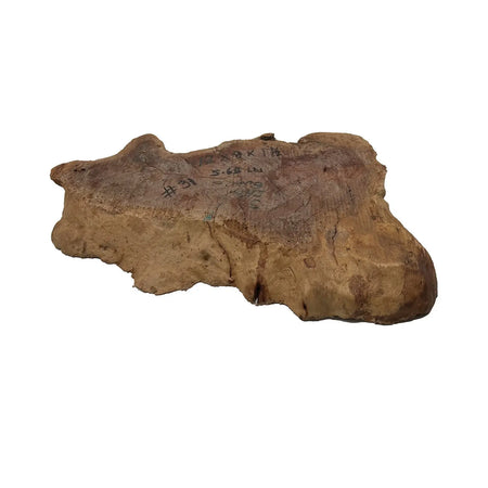 Red Gum Burl Cookies/Slabs 12" x 8" x 1-1/2", 5.67 lbs | #31 - Exotic Wood Zone - Buy online Across USA 