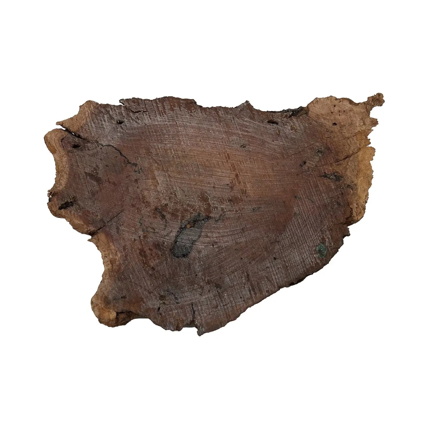 Red Gum Burl Cookies/Slabs 11" x 9" x 1-1/2", 4.25 lbs | #32 - Exotic Wood Zone - Buy online Across USA 