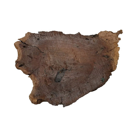 Red Gum Burl Cookies/Slabs 11" x 9" x 1-1/2", 4.25 lbs | #32 - Exotic Wood Zone - Buy online Across USA 