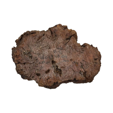 Red Gum Burl Cookies/Slabs , 16" x 11" x 1-1/2" 6.35 lbs | #36 - Exotic Wood Zone - Buy online Across USA 