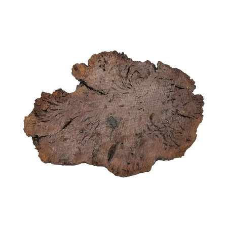 Red Gum Burl Cookies/Slabs , 16" x 11" x 1-1/2" 6.35 lbs | #36 - Exotic Wood Zone - Buy online Across USA 