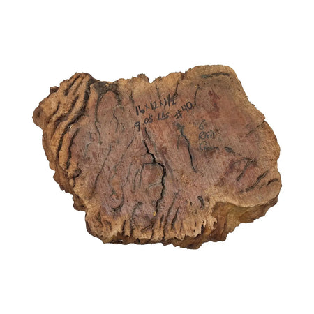 Red Gum Burl Cookies/Slabs , 16" x 12" x 1-1/2" 9.05 lbs | #40 - Exotic Wood Zone - Buy online Across USA 