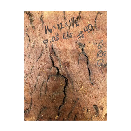 Red Gum Burl Cookies/Slabs , 16" x 12" x 1-1/2" 9.05 lbs | #40 - Exotic Wood Zone - Buy online Across USA 