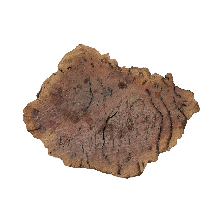 Red Gum Burl Cookies/Slabs , 16" x 12" x 1-1/2" 9.05 lbs | #40 - Exotic Wood Zone - Buy online Across USA 