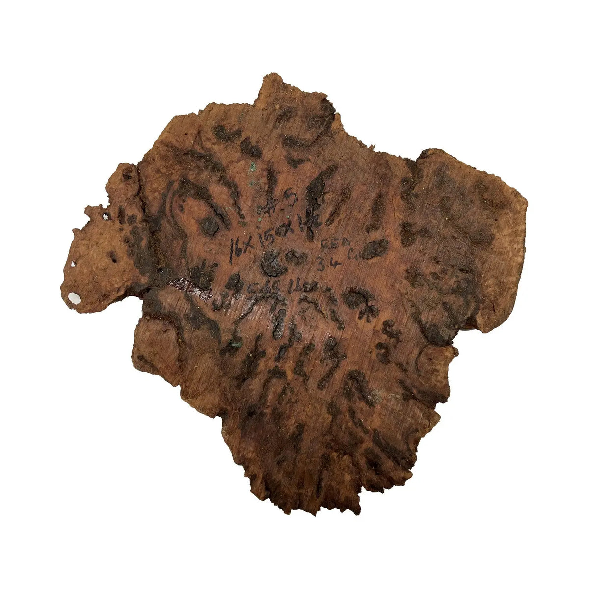 Red Gum Burl Cookies/Slabs 16" x 15" x 1-1/2" | 5.65 lbs | #05 - Exotic Wood Zone - Buy online Across USA 