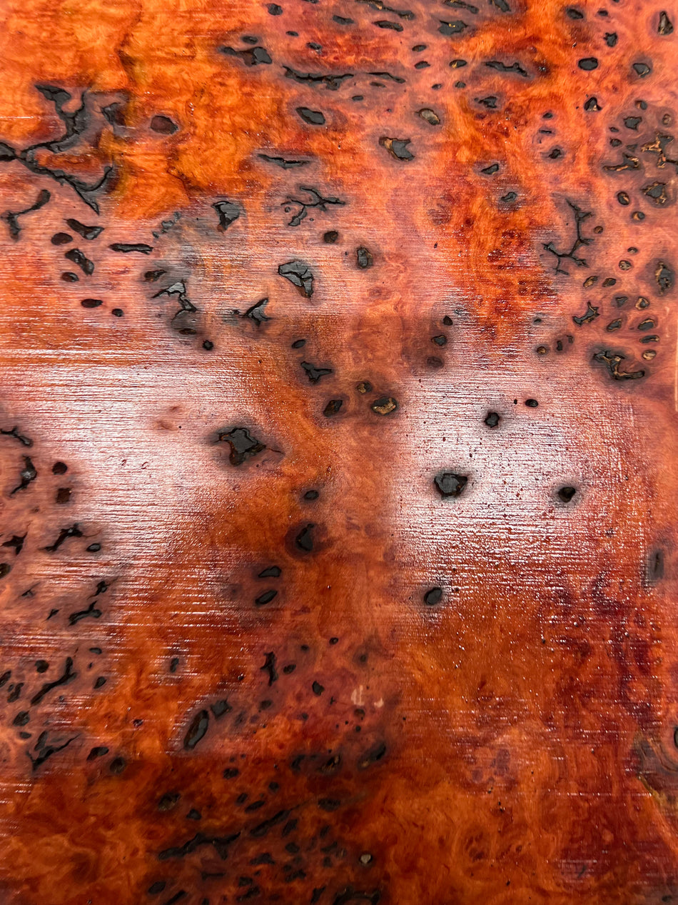 Red Gum Burl Acoustic/ Electric Guitar Wood Drop Top Set | 21" x 14" x 3/8"  #100 - Exotic Wood Zone - Buy online Across USA 