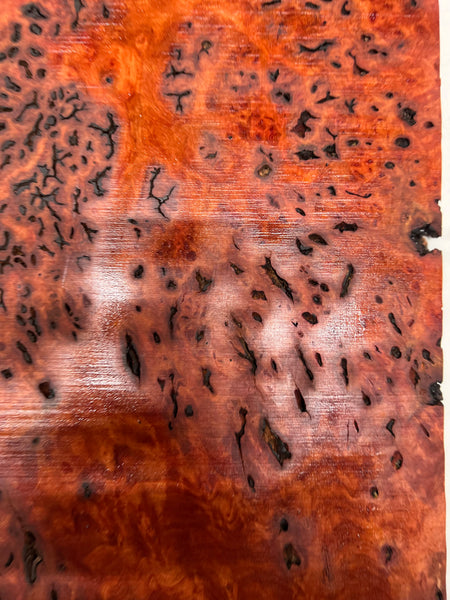 Red Gum Burl Acoustic/ Electric Guitar Wood Drop Top Set | 21" x 14" x 3/8"  #102 - Exotic Wood Zone - Buy online Across USA 