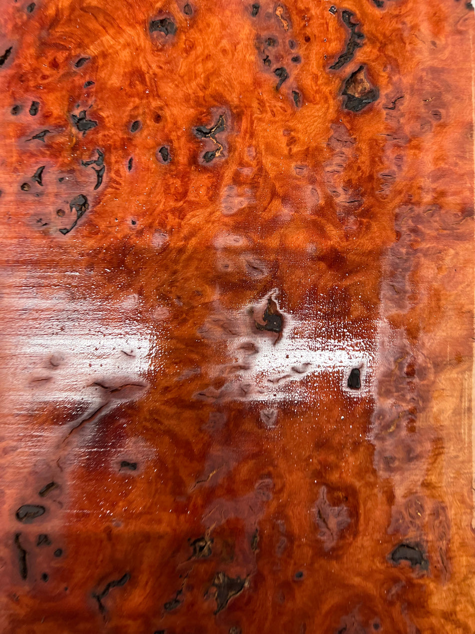 Red Gum Burl Acoustic/ Electric Guitar Wood Drop Top Set | 21" x 14" x 3/8"  #107 - Exotic Wood Zone - Buy online Across USA 