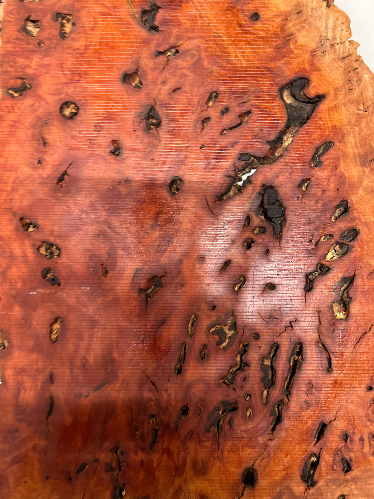 Red Gum Burl Acoustic/ Electric Guitar Wood Drop Top Set | 21" x 14" x 3/8"  #112 - Exotic Wood Zone - Buy online Across USA 