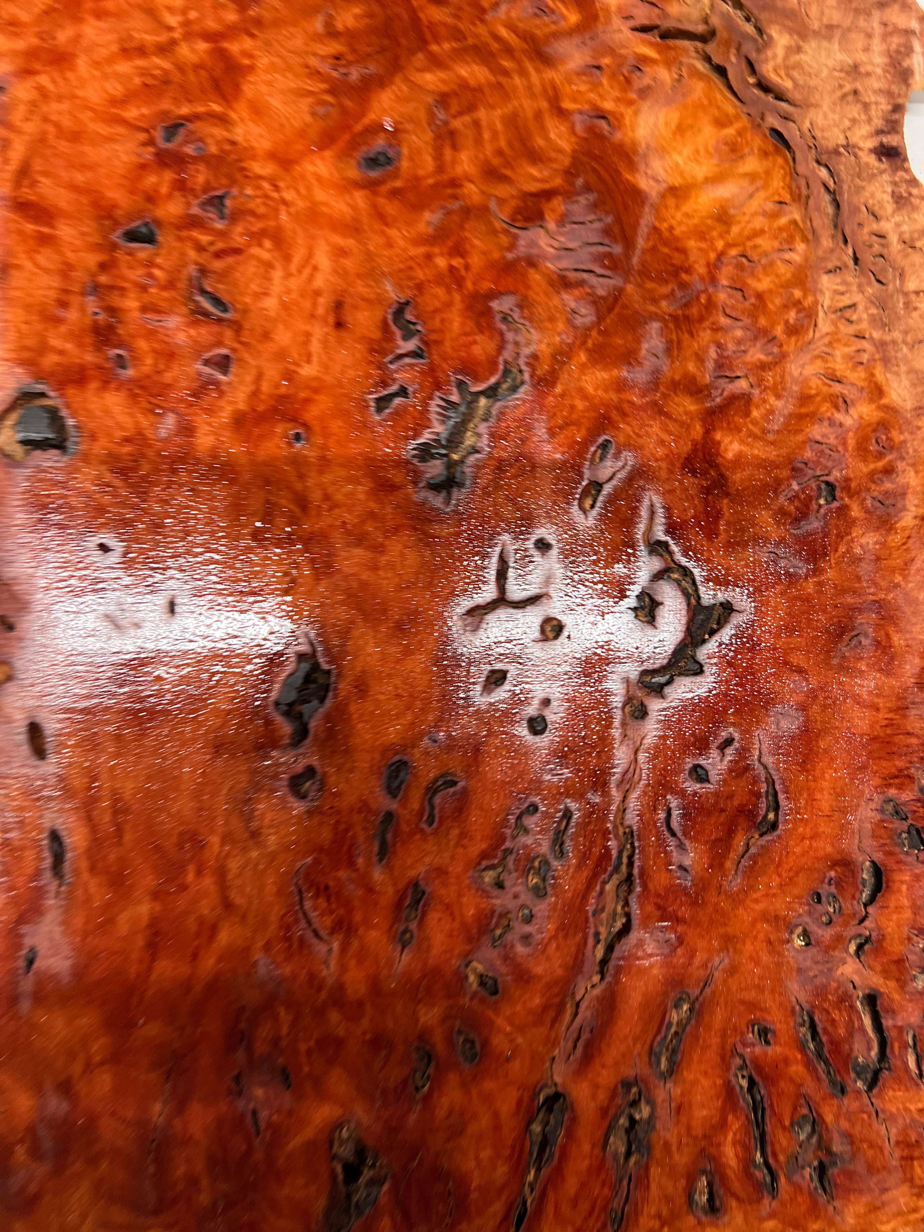 Red Gum Burl Acoustic/ Electric Guitar Wood Drop Top Set | 21" x 14" x 3/8"  #113 - Exotic Wood Zone - Buy online Across USA 