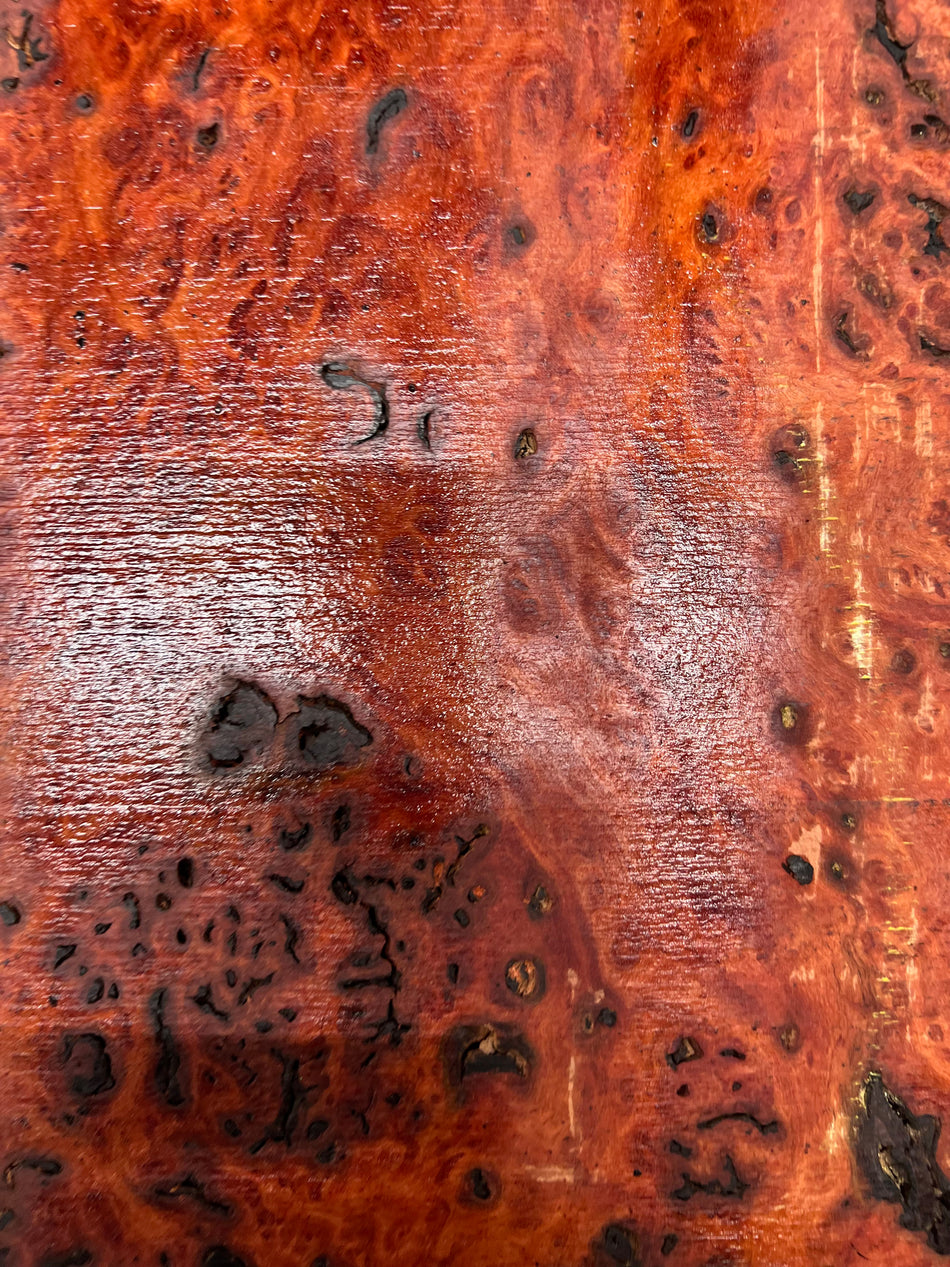 Red Gum Burl Acoustic/ Electric Guitar Wood Drop Top Set | 21" x 14" x 3/8"  #121 - Exotic Wood Zone - Buy online Across USA 