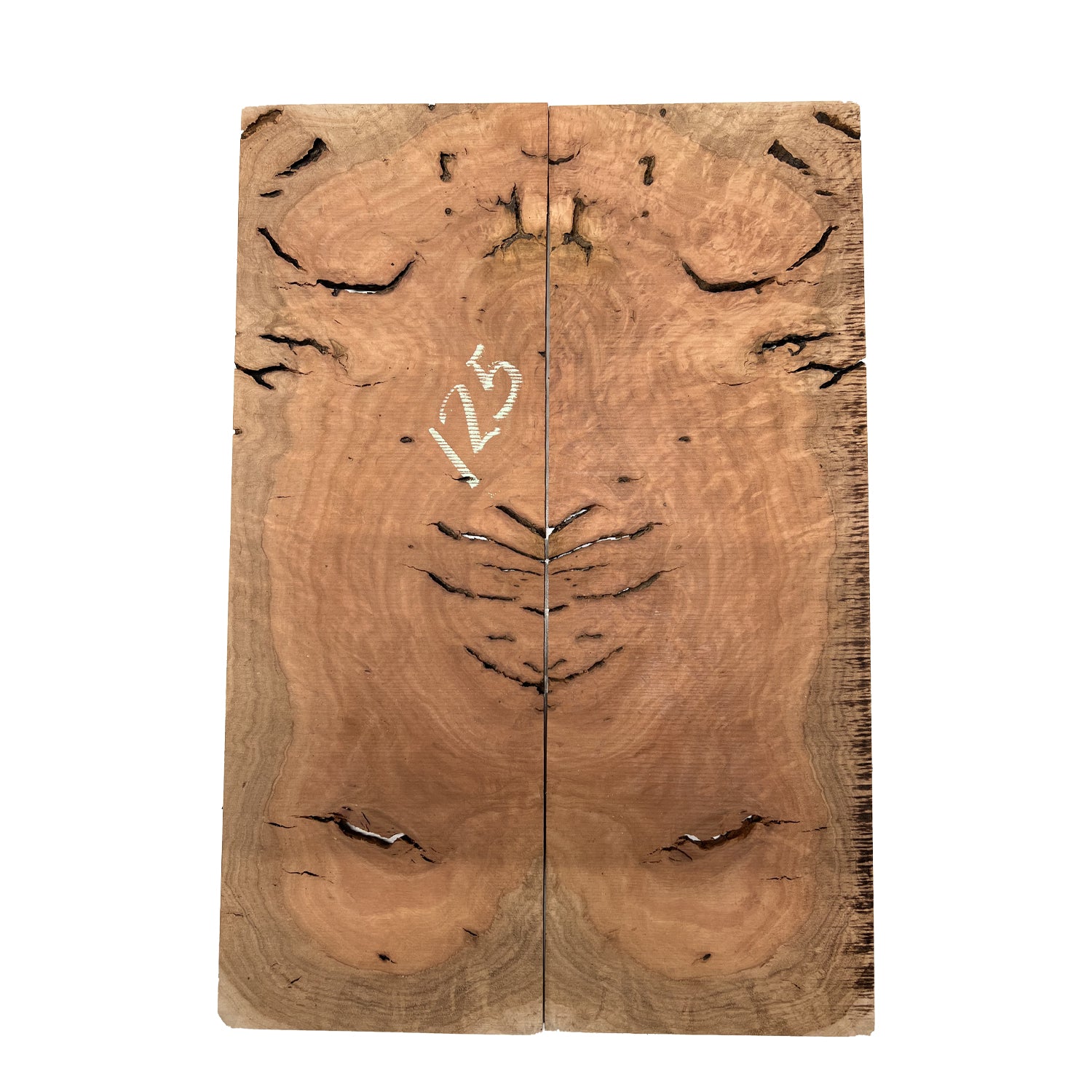 Red Gum Burl Acoustic/ Electric Guitar Wood Drop Top Set | 21" x 14" x 3/8"  #125 - Exotic Wood Zone - Buy online Across USA 