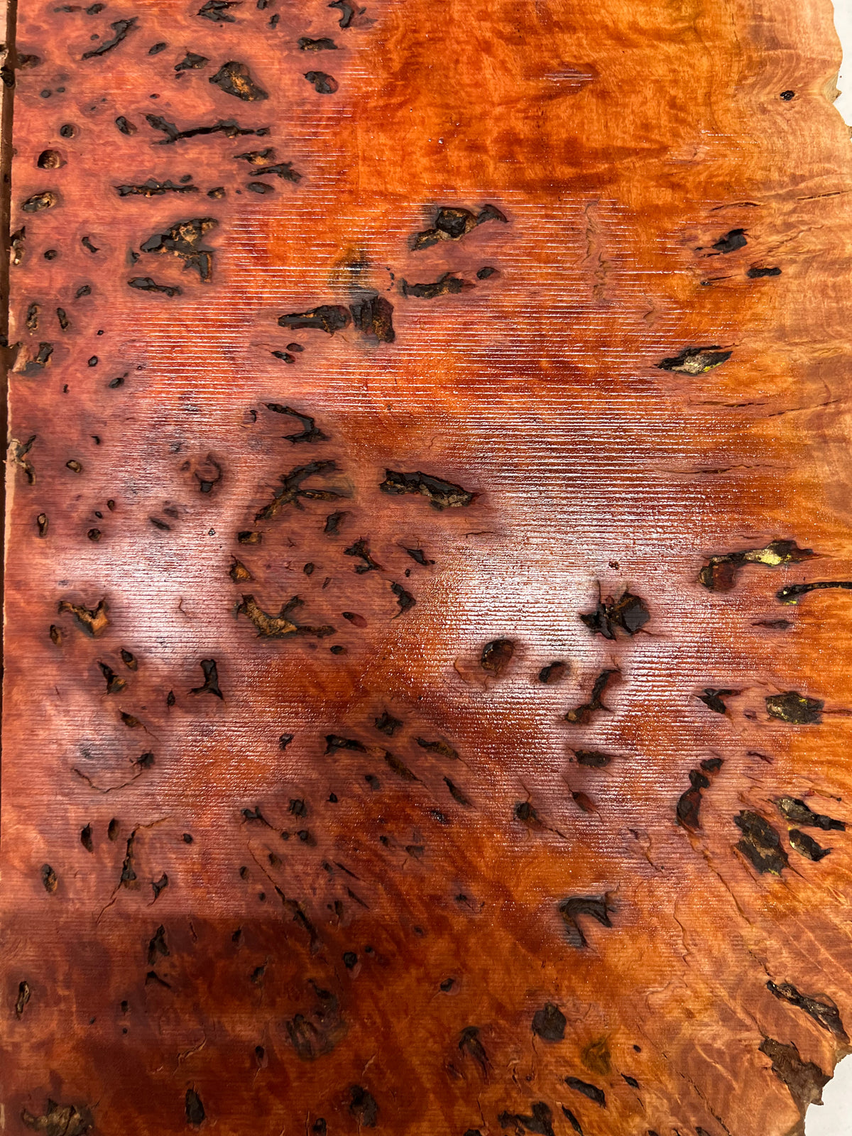 Red Gum Burl Acoustic/ Electric Guitar Wood Drop Top Set | 21" x 14" x 3/8"  #128 - Exotic Wood Zone - Buy online Across USA 