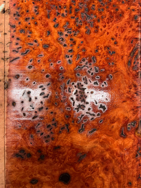 Red Gum Burl Acoustic/ Electric Guitar Wood Drop Top Set | 21" x 14" x 3/8"  #132 - Exotic Wood Zone - Buy online Across USA 