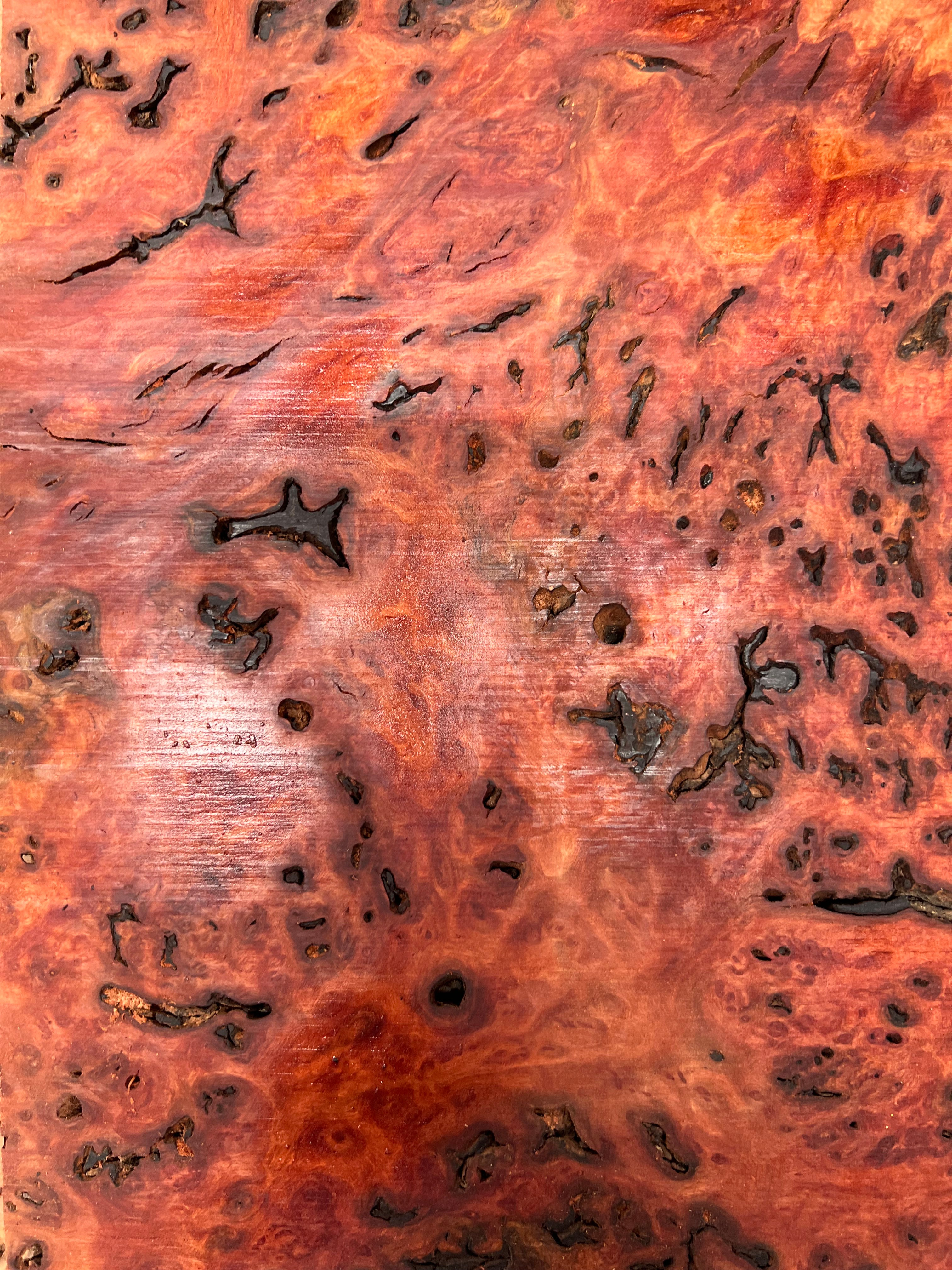 Red Gum Burl Acoustic/ Electric Guitar Wood Drop Top Set | 21" x 14" x 3/8"  #65 - Exotic Wood Zone - Buy online Across USA 