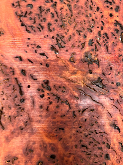 Red Gum Burl Acoustic/ Electric Guitar Wood Drop Top Set | 21&quot; x 14&quot; x 3/8&quot;  