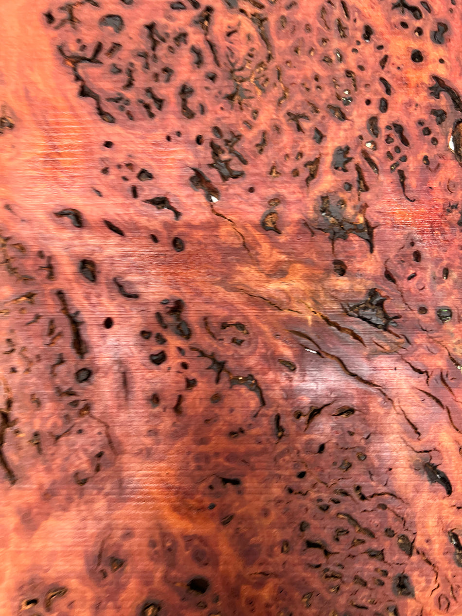 Red Gum Burl Acoustic/ Electric Guitar Wood Drop Top Set | 21" x 14" x 3/8"  #67 - Exotic Wood Zone - Buy online Across USA 