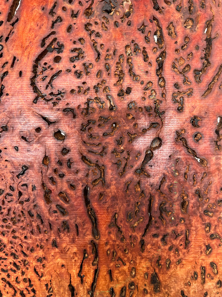 Red Gum Burl Acoustic/ Electric Guitar Wood Drop Top Set | 21" x 14" x 3/8"  #76 - Exotic Wood Zone - Buy online Across USA 