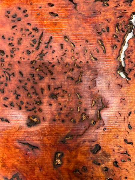 Red Gum Burl Acoustic/ Electric Guitar Wood Drop Top Set | 21" x 14" x 3/8"  #81 - Exotic Wood Zone - Buy online Across USA 