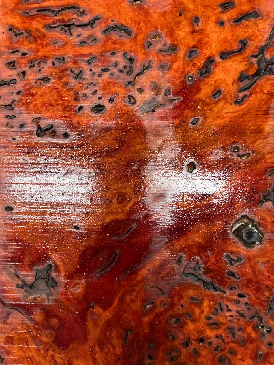 Red Gum Burl Acoustic/ Electric Guitar Wood Drop Top Set | 21" x 14" x 3/8"  #89 - Exotic Wood Zone - Buy online Across USA 