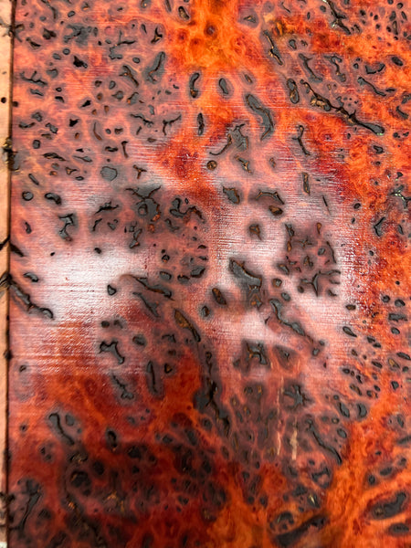 Red Gum Burl Acoustic/ Electric Guitar Wood Drop Top Set | 21" x 14" x 3/8"  #92 - Exotic Wood Zone - Buy online Across USA 