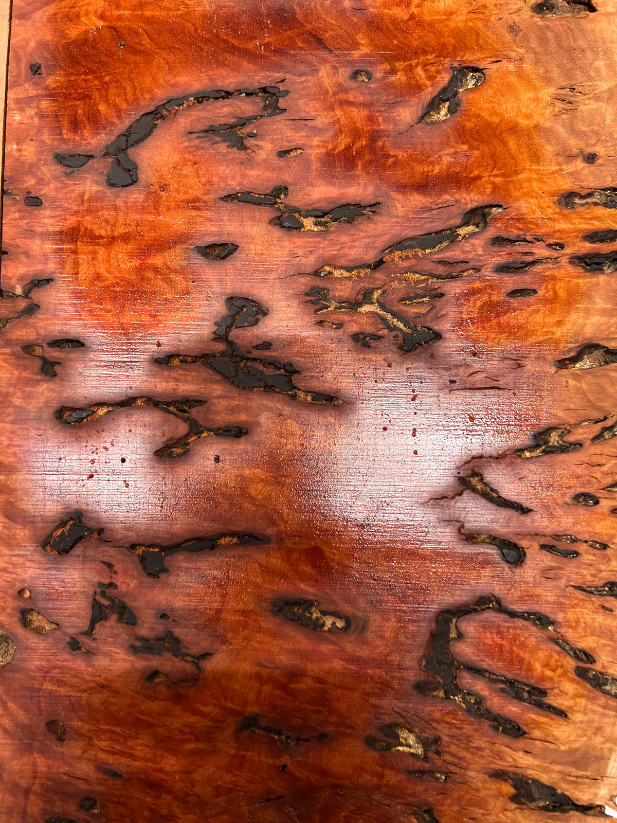 Red Gum Burl Acoustic/ Electric Guitar Wood Drop Top Set | 21" x 14" x 3/8"  #95 - Exotic Wood Zone - Buy online Across USA 