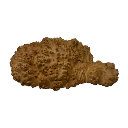 Red Mallee Burl | 14&quot; x 8&quot; x 2-3/4&quot; | 4.35 lbs - 