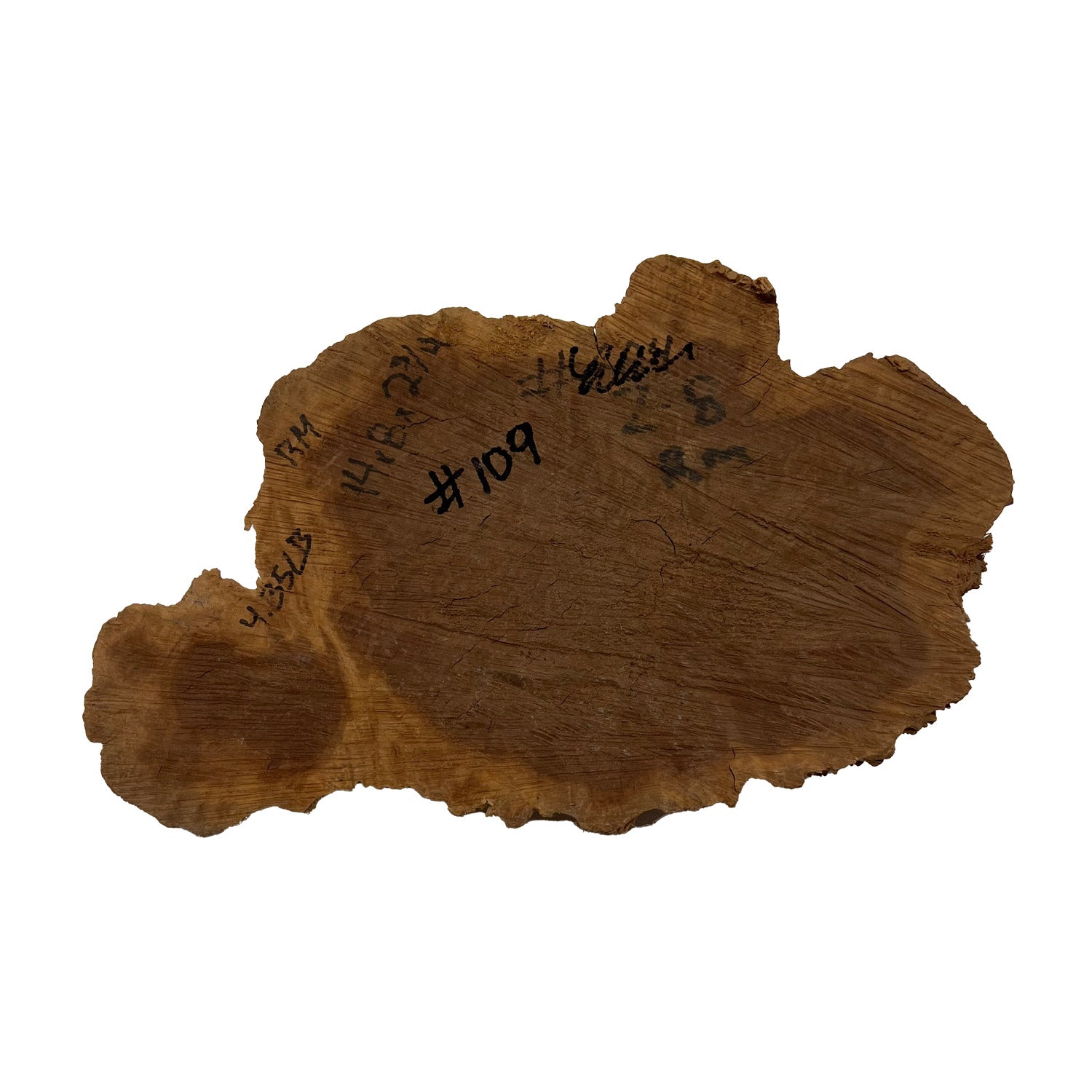 Red Mallee Burl | 14&quot; x 8&quot; x 2-3/4&quot; | 4.35 lbs - 