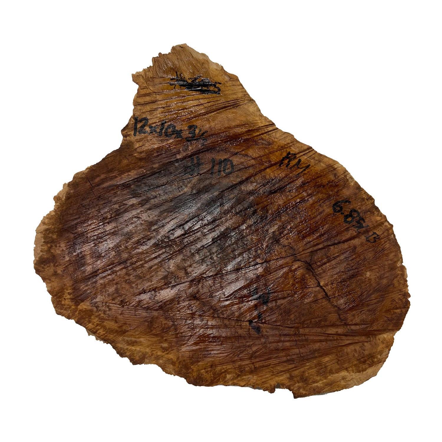 Red Mallee Burl | 12&quot; x 10&quot; x 3-1/2&quot; | 6.85 lbs - 