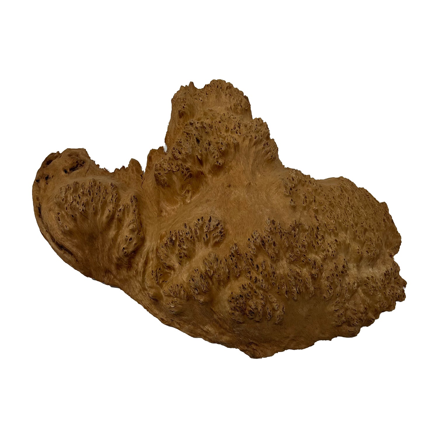 Red Mallee Burl | 14-1/3&quot; x 9-1/2&quot; x 2-1/2&quot; | 4.4 lbs - 