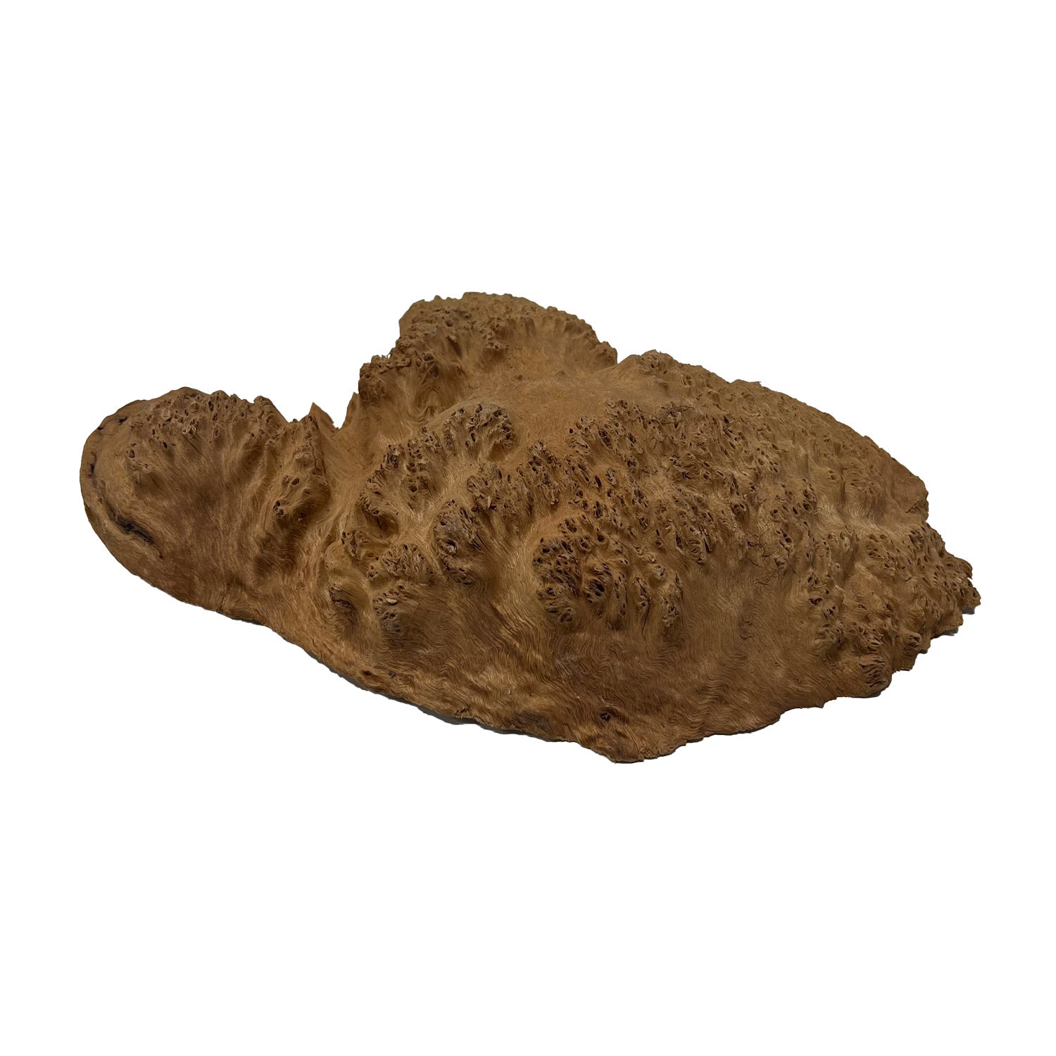 Red Mallee Burl | 14-1/3&quot; x 9-1/2&quot; x 2-1/2&quot; | 4.4 lbs - 