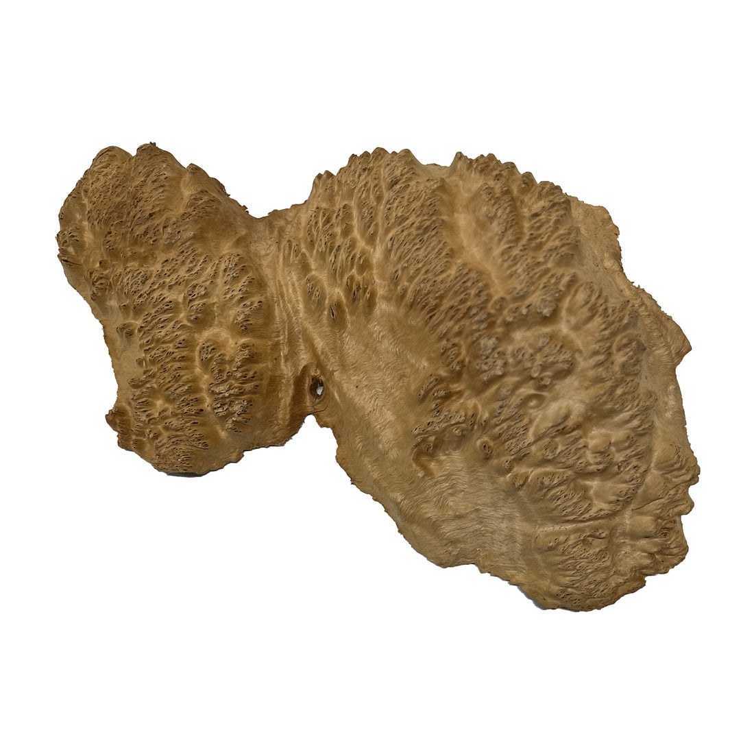 Red Mallee Burl | 15&quot; x 8&quot; x 2&quot; | 4.18 lbs - 
