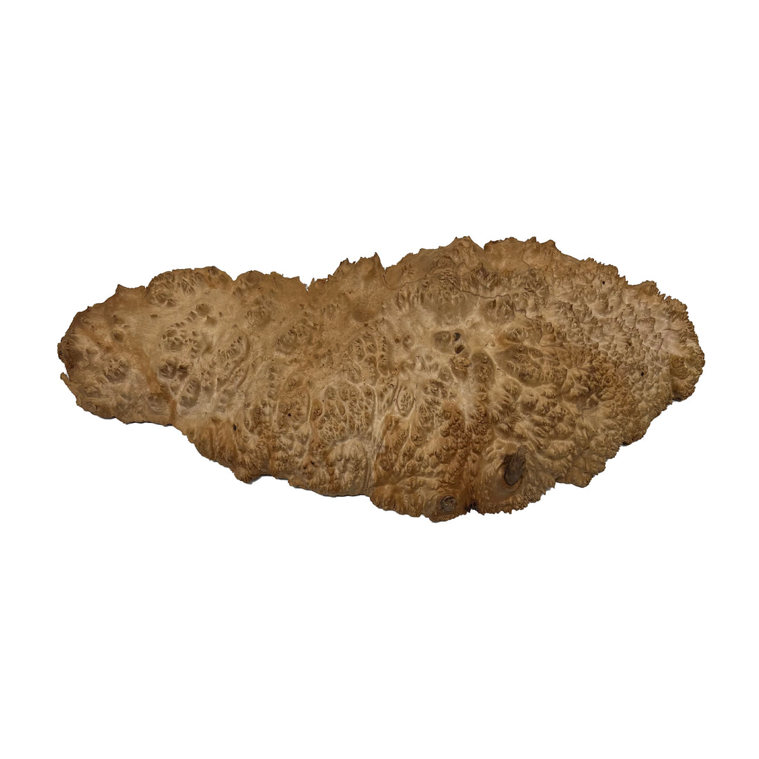 Red Mallee Burl | 21&quot; x 8&quot; x 2&quot; | 5.25 lbs - 