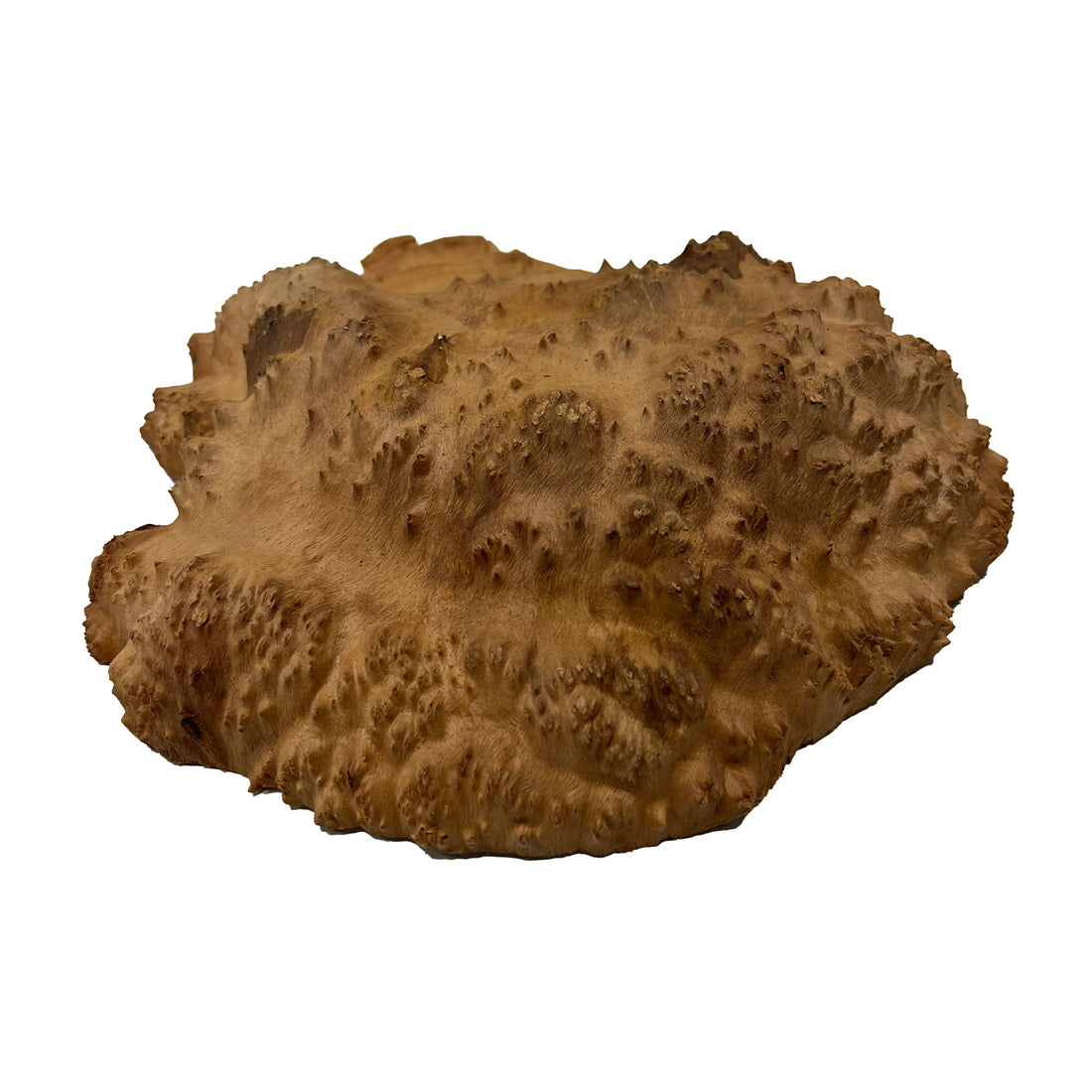 Red Mallee Burl | 10-1/2&quot; x 10-1/4&quot; x 2&quot; | 3.5 lbs - 