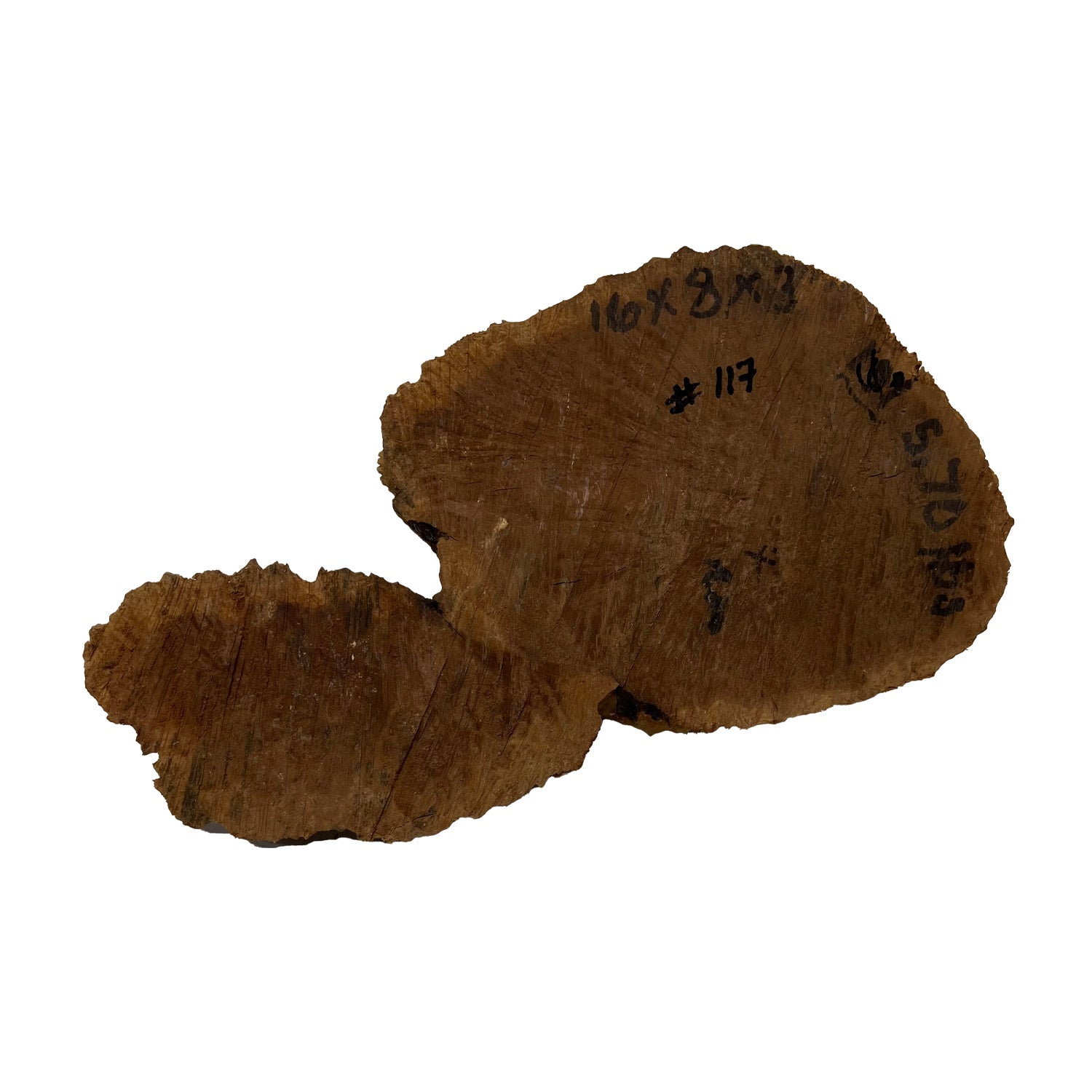 Red Mallee Burl | 16&quot; x 8&quot; x 3&quot; | 5.7 lbs - 