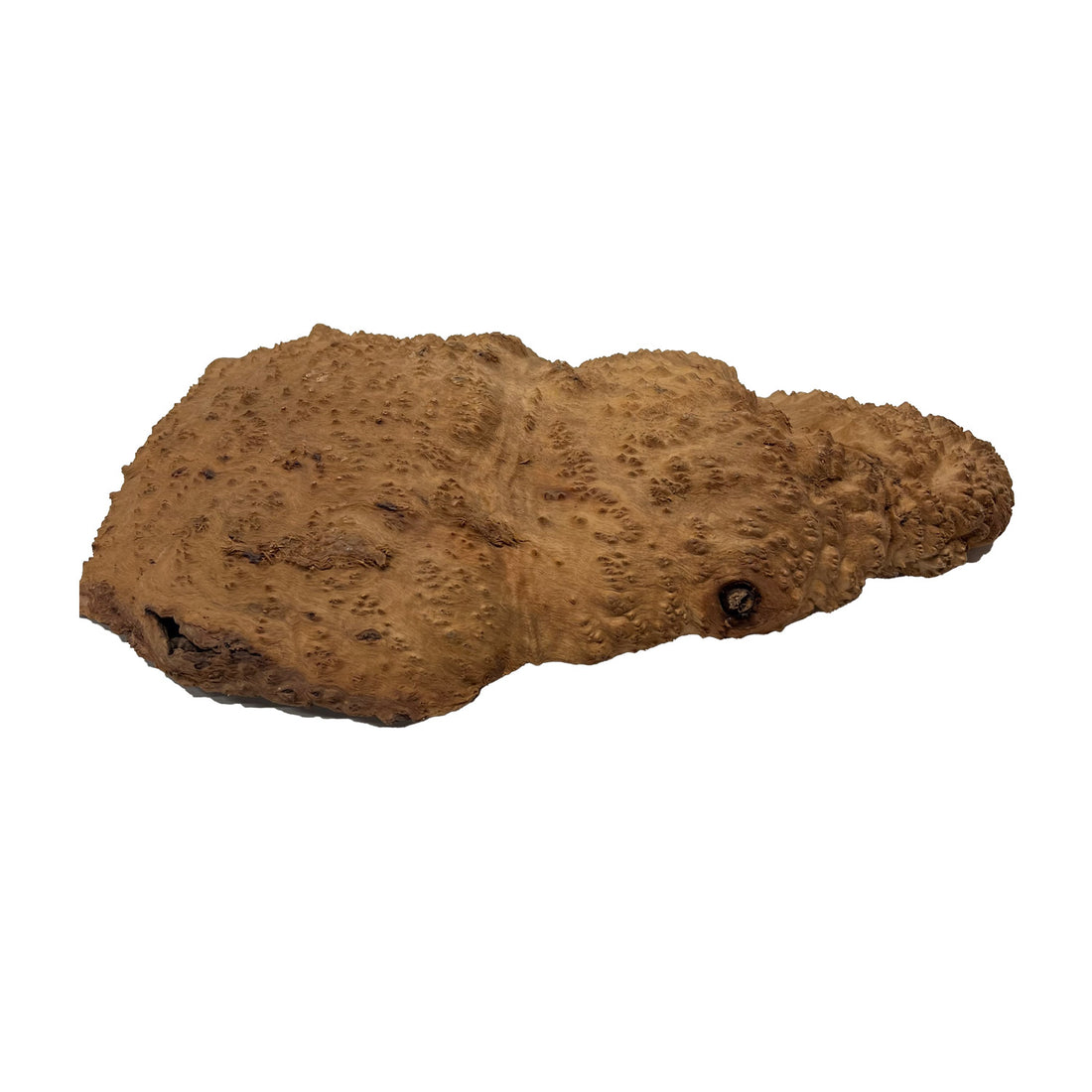 Red Mallee Burl | 18&quot; x 11&quot; x 2-1/2&quot; | 9.4 lbs - 