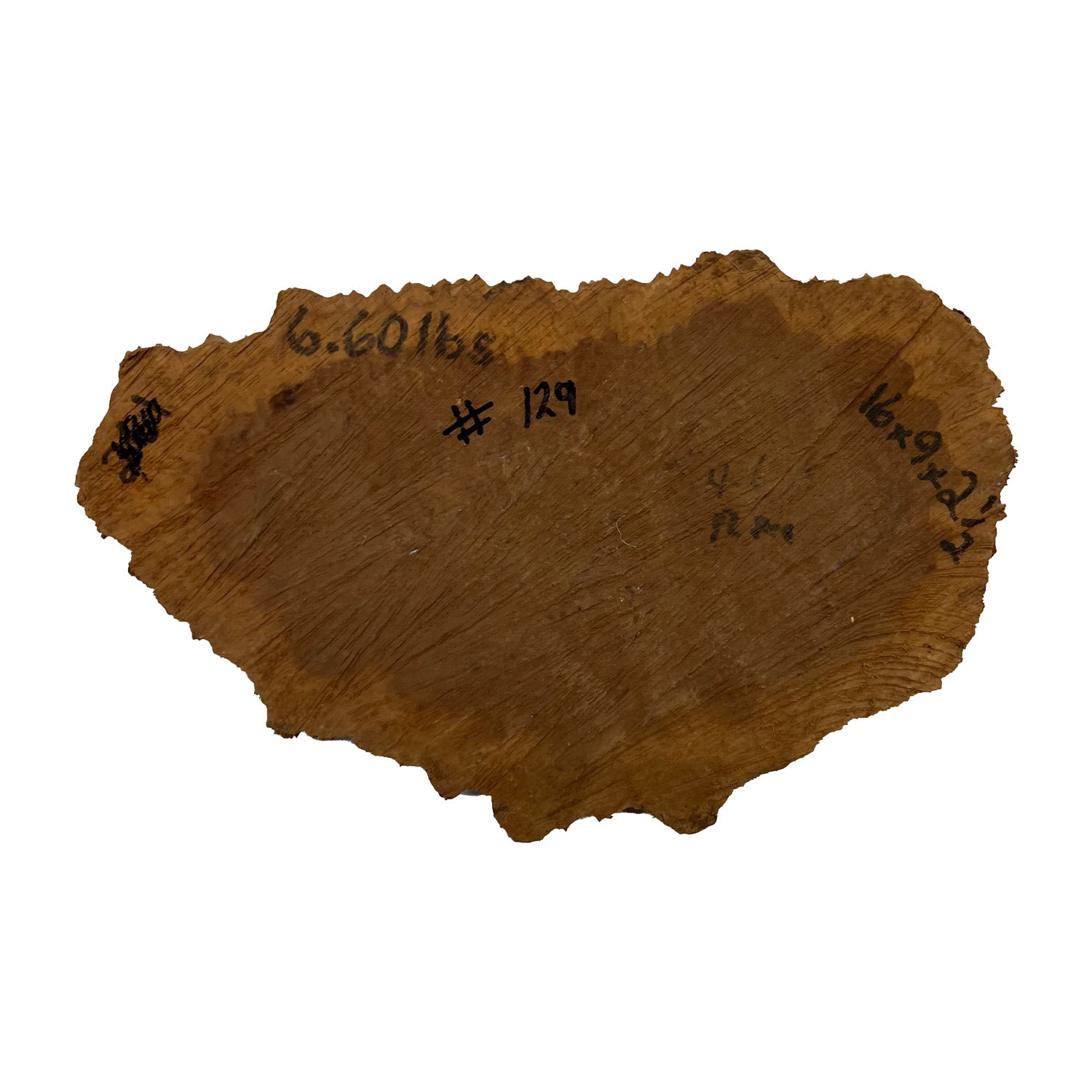 Red Mallee Burl | 16&quot; x 9&quot; x 2-1/2&quot; | 6.6 lbs - 