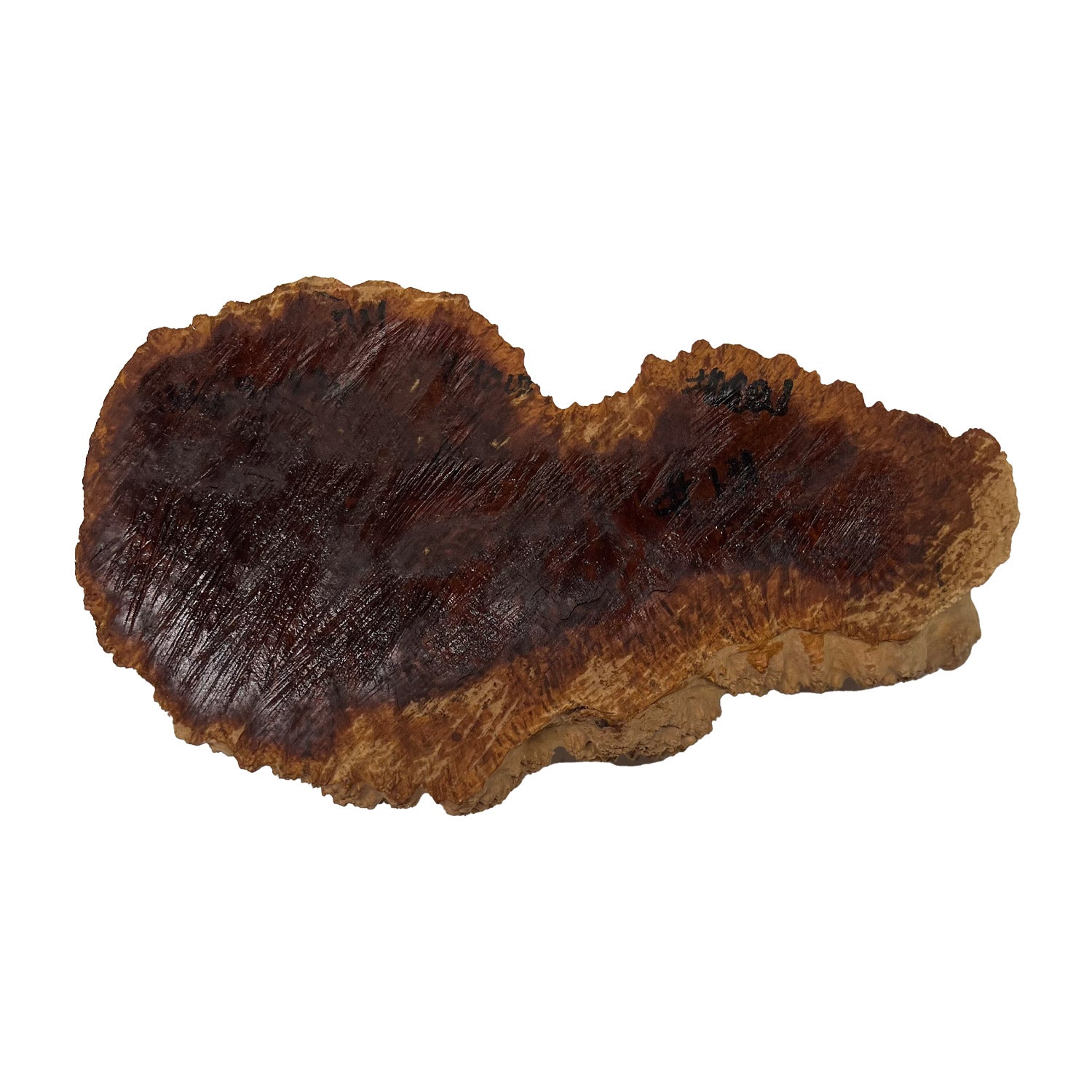 Red Mallee Burl | 13-1/2&quot; x 8&quot; x 2-3/4&quot; | 4.4 lbs - 