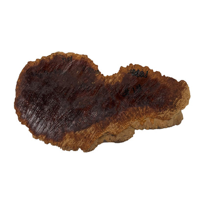 Red Mallee Burl | 13-1/2&quot; x 8&quot; x 2-3/4&quot; | 4.4 lbs - 