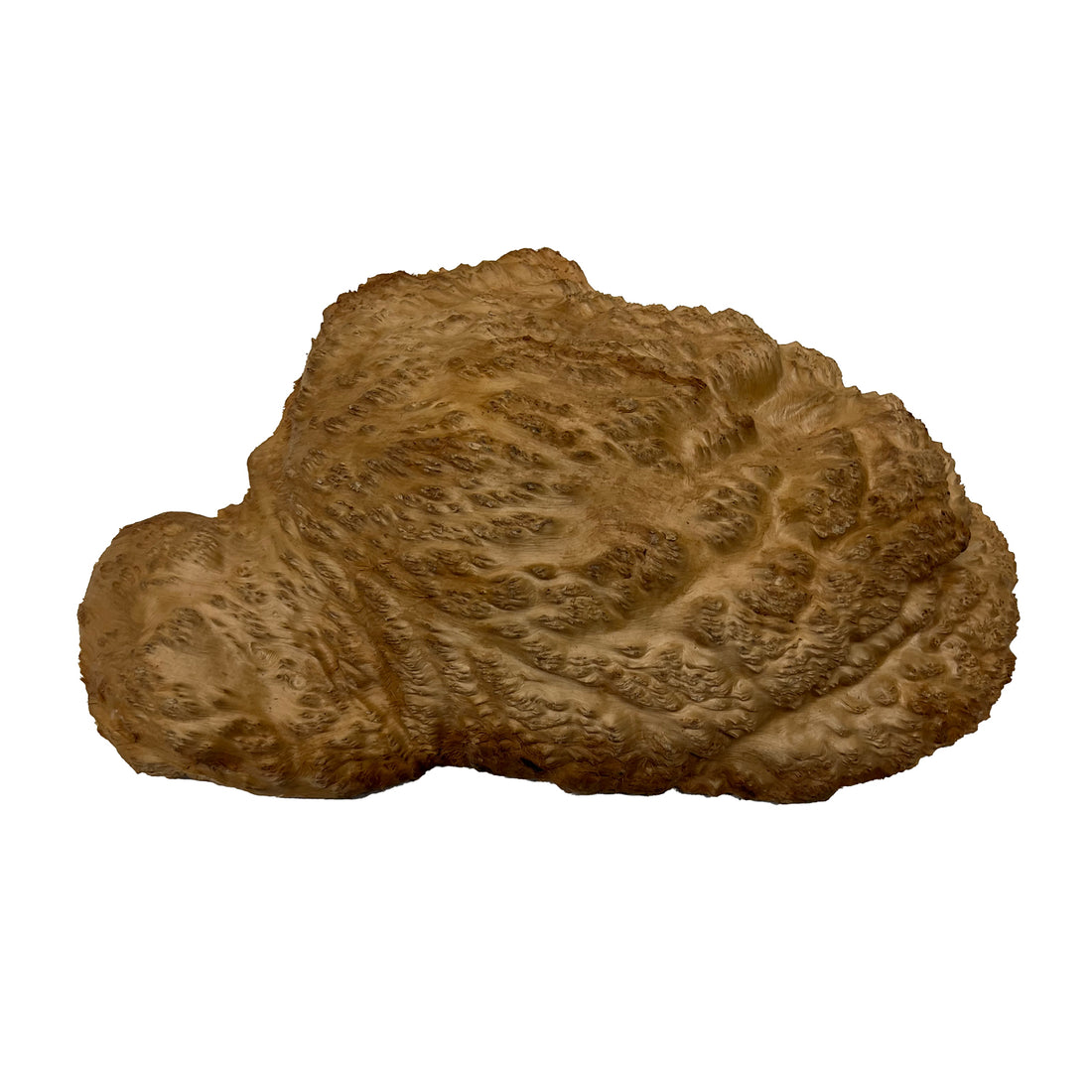 Red Mallee Burl | 12&quot; x 7&quot; x 2-1/2&quot; | 3.5 lbs - 
