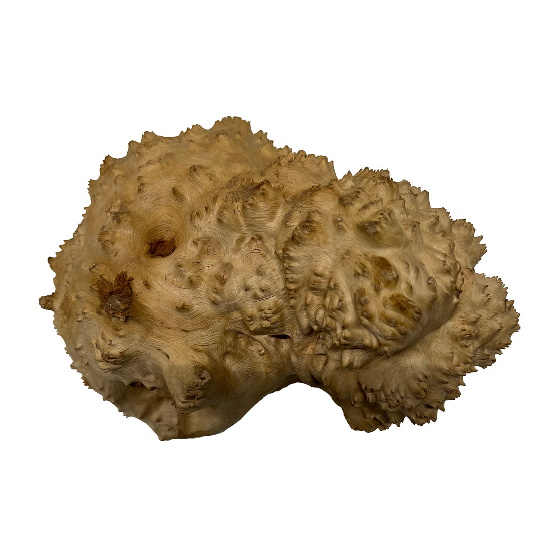 Red Mallee Burl | 9-1/2&quot; x 7&quot; x 3&quot; | 5.4 lbs - 