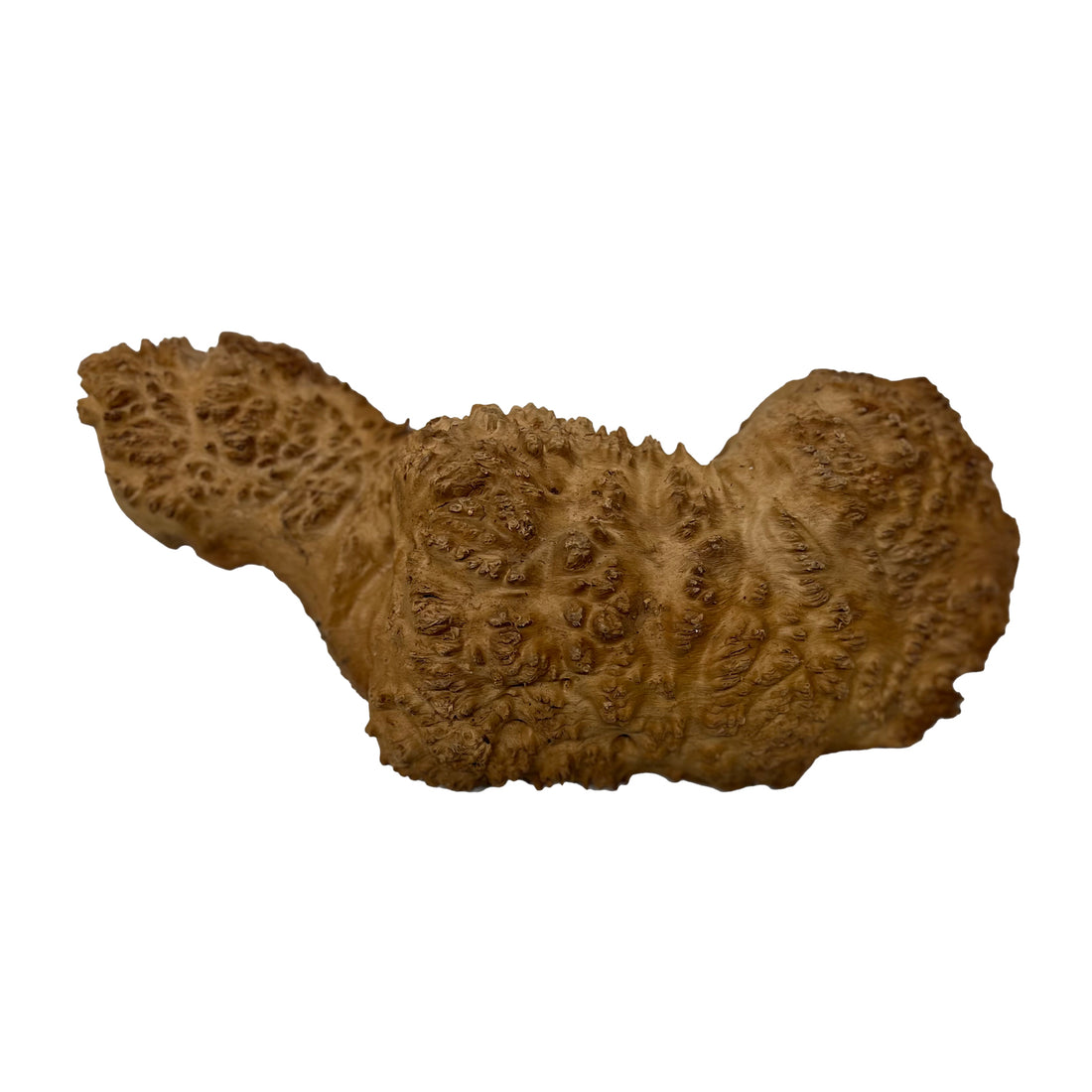 Red Mallee Burl | 15&quot; x 5&quot; x 1-1/2&quot; | 3.92 lbs - 