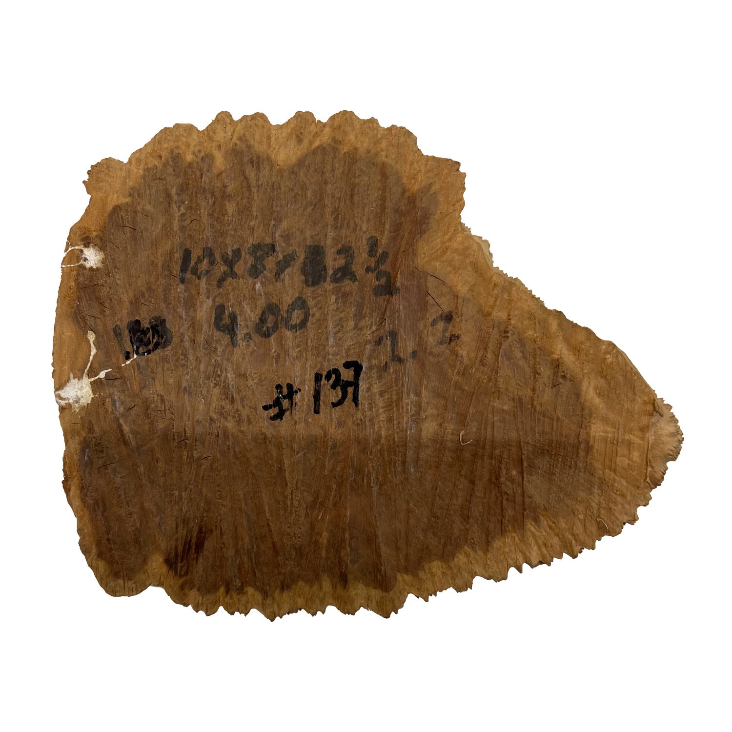Red Mallee Burl | 10&quot; x 8&quot; x 2-1/2&quot; | 4 lbs - 
