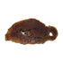 Red Mallee Burl Cookies 24" x 12" x 3/4" | 7.9 lbs - 