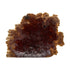 Red Mallee Burl Cookies 9" x 7" x 1" | 2.05 lbs - 